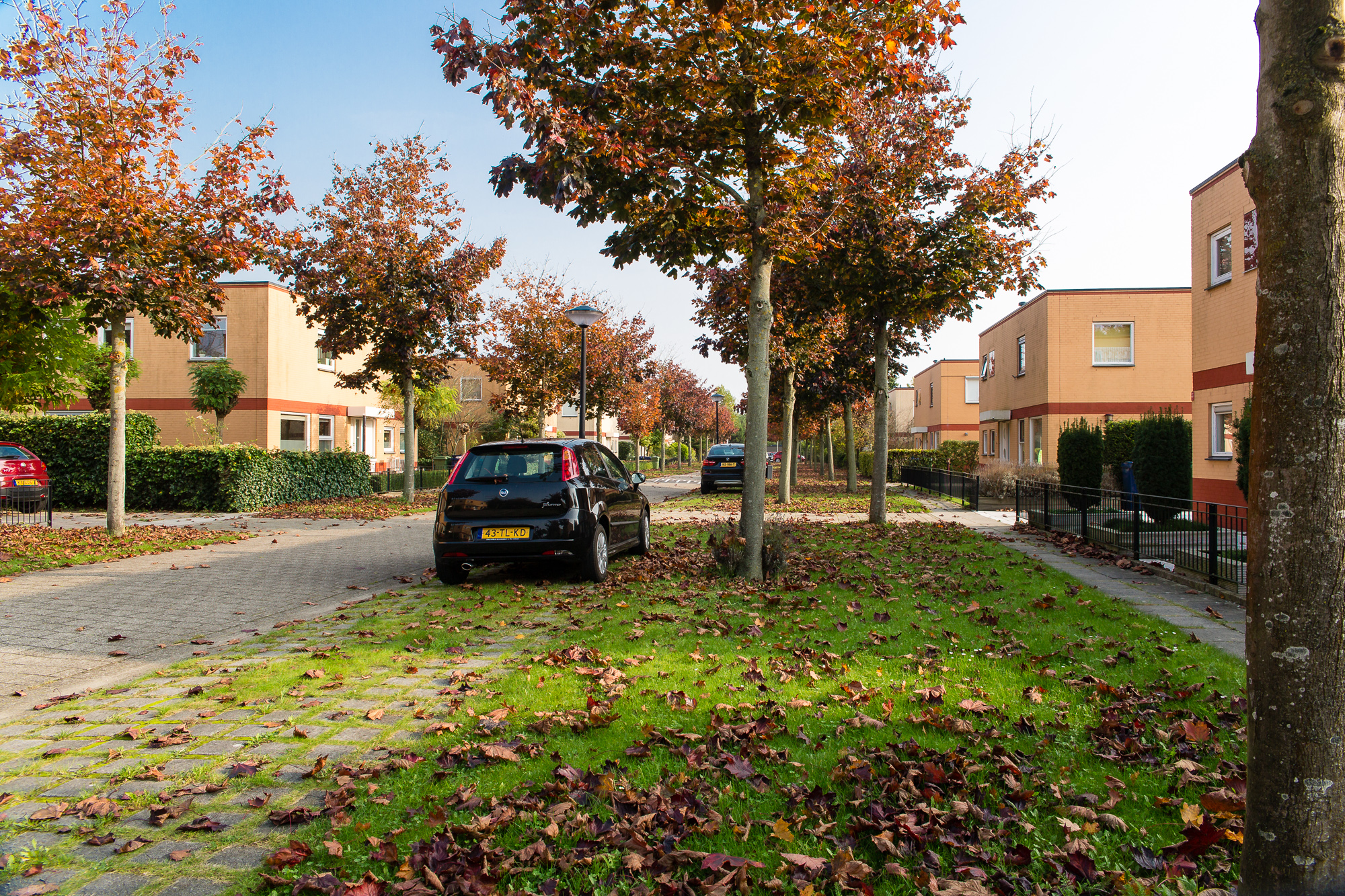Kakistraat-herfst