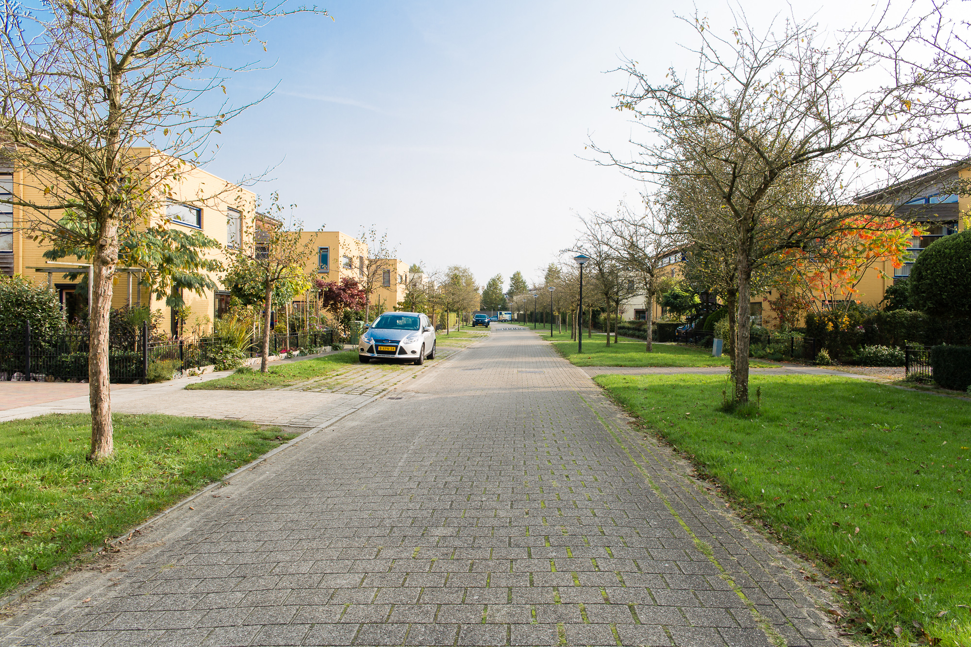 Oranjegeelstraat-herfst