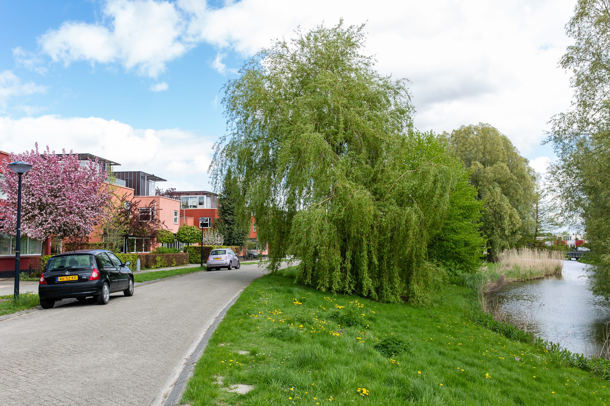 Robijnplantsoen-lente